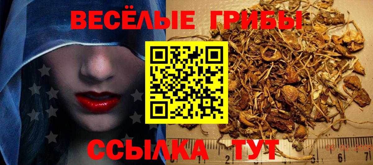 Псилоцибиновые грибы Cubensis Шали