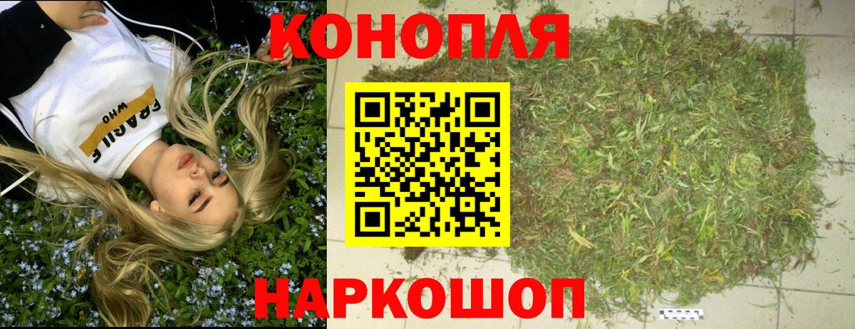 Конопля ГИДРОПОН Шали